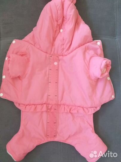 Одежда для маленьких собак