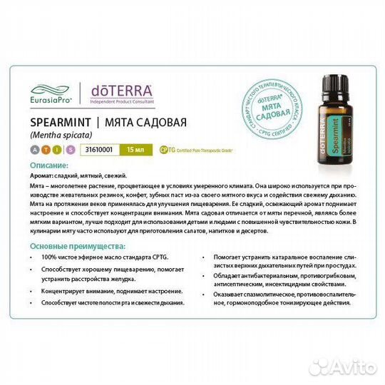 Doterra Садовая мята
