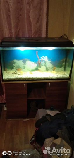 Аквариум с тумбой 200 литров
