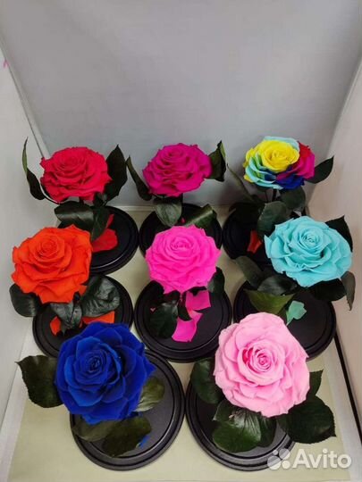 Роза в колбе оптом и в розницу