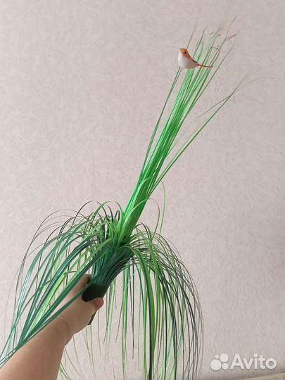 Игрушка поющая птица