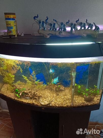 Аквариум с тумбой