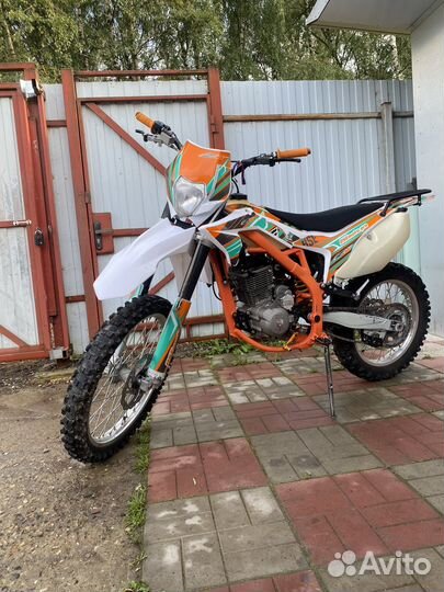 Bse z6