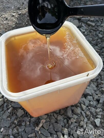 Мед Майский опт