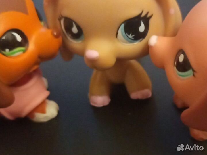 Littlest Pet Shop рыба шимпанзе слон птица