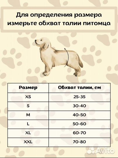 Трусы для собак