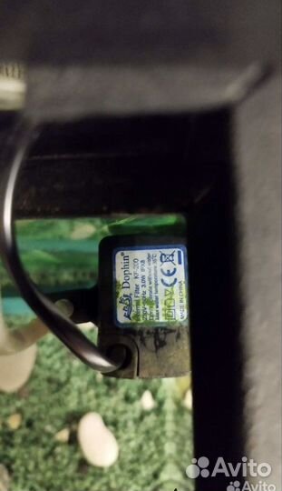 Аквариум для рыб 5 литров со всем содержимым