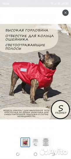 Дождевик для собак