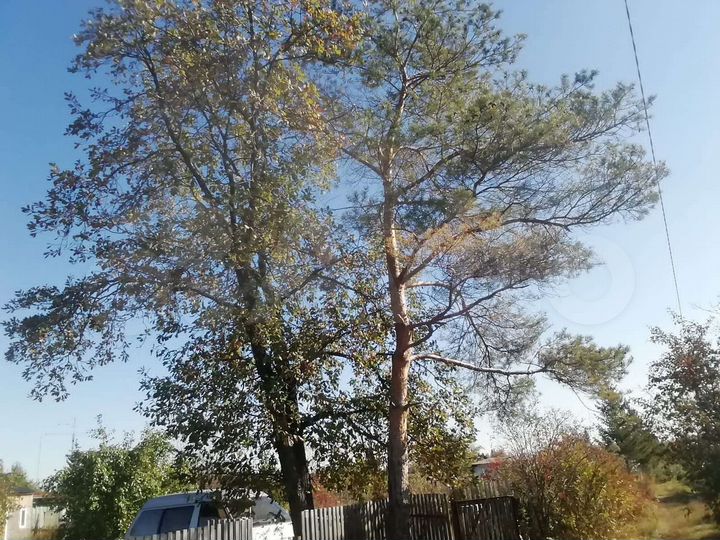 Участок 6 сот. (СНТ, ДНП)