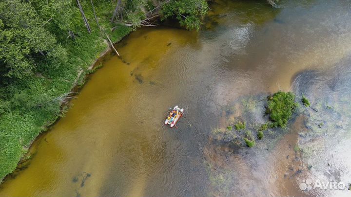 Сплав знакомств по реке Илеть 6 - 7 июля