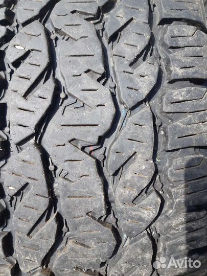 Шины Матадор Изарда