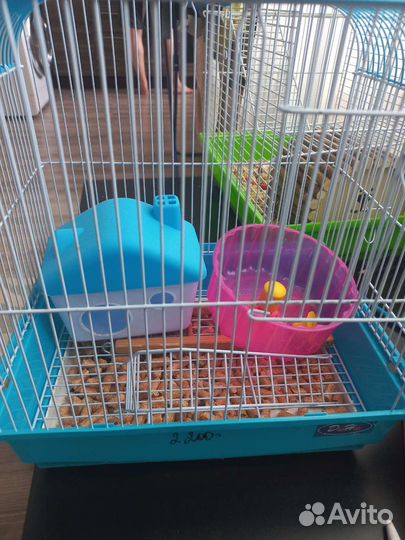 Клетка для хомяка