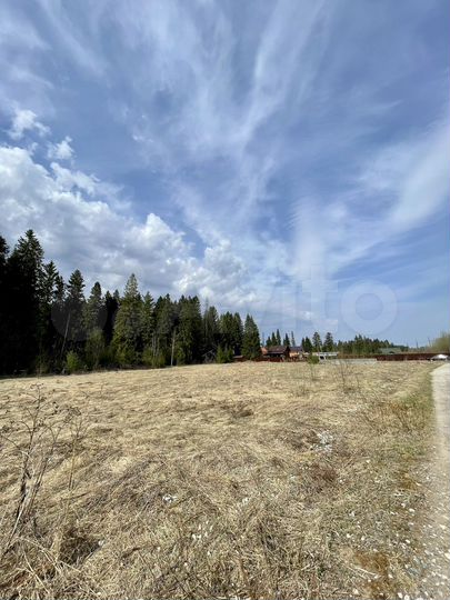 Участок 50 сот. (ИЖС)