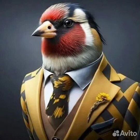 Птица щегол