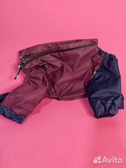 Одежда для собак мелких пород мальчик