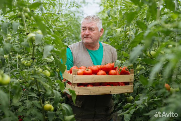 Разнорабочий в теплицы Вахта от 15 смен