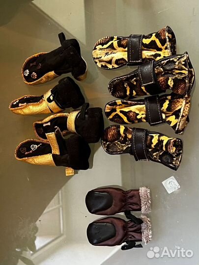 Ботинки для маленьких собак