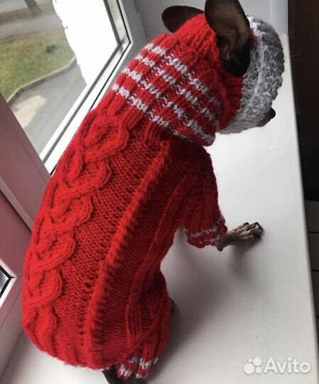 Одежда для Собак