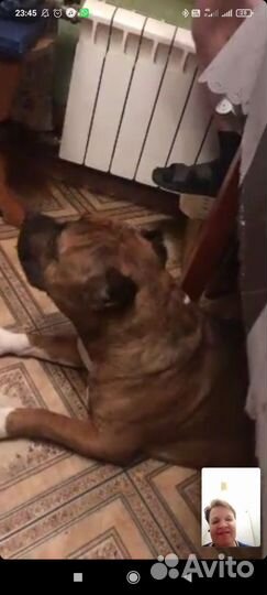 Для случи 100р