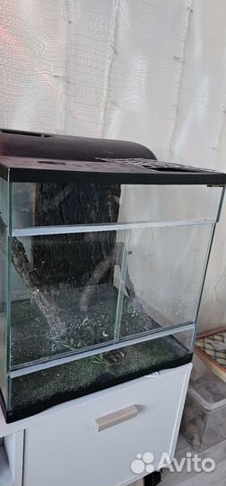 Террариум для рептилий бу
