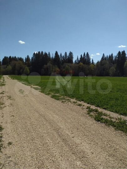 Участок 1,57 га (СНТ, ДНП)