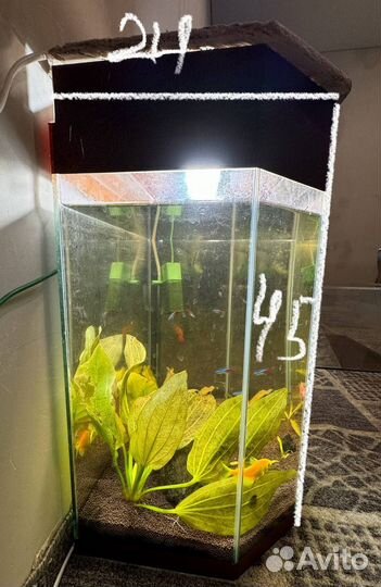 Аквариум с рыбками бу