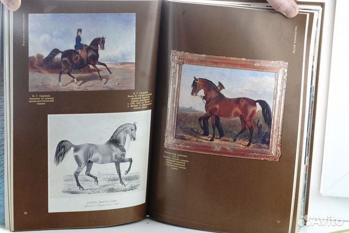 Коневодство и конезаводство в России книга
