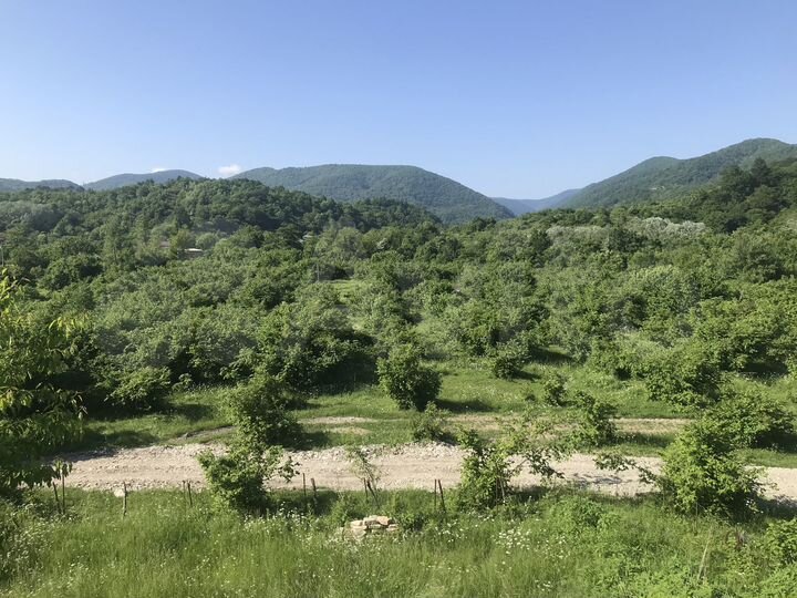 Участок 10 сот. (СНТ, ДНП)