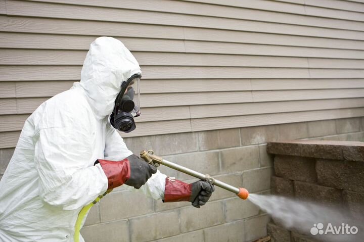 Уничтожение от тараканов, клопов, клещей, муравьев