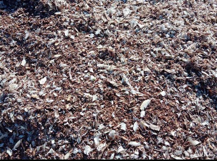 Мульча осиновая