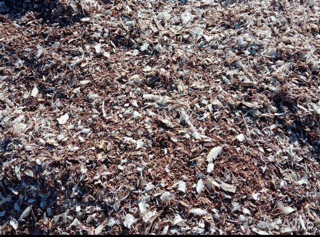 Мульча осиновая