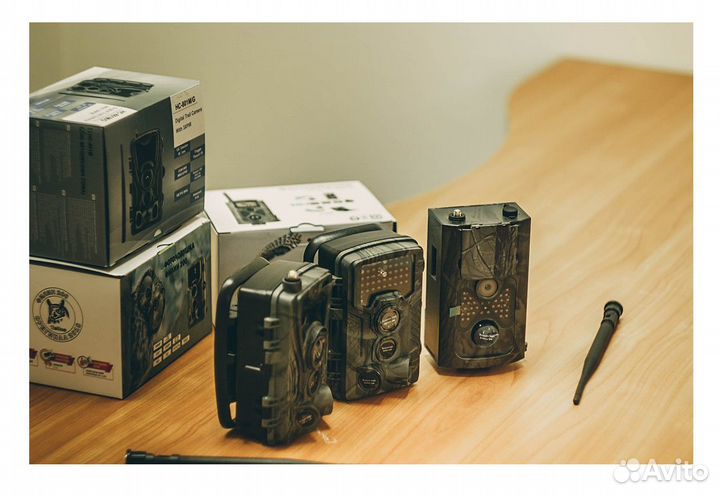 Новые фотоловушки в Красноярске,магазин,гарантия