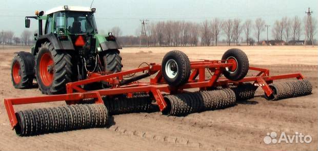 Каток Expom Maximus, 2023