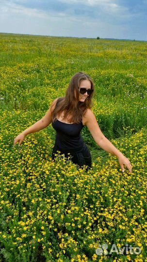 Сено в тюках