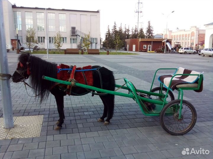 Двуколка для пони или клиппера