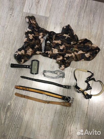 Костюм для собак