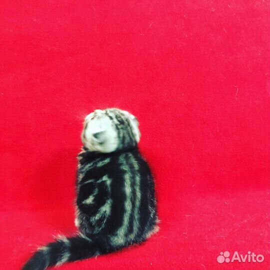 Вислоухие малыши