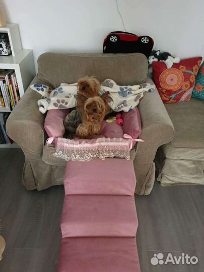 Лесенка, ступеньки для животных