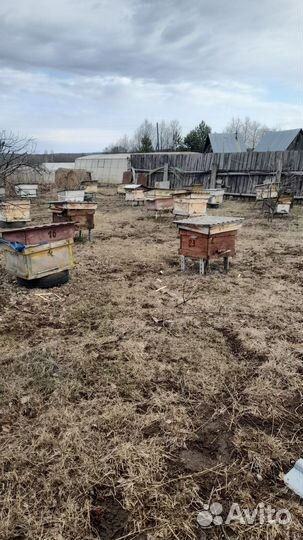 Продам ульи для пчел. На 12 14 18 рамок