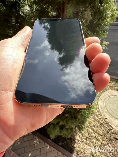 iPhone 13 Pro Max, 256 ГБ