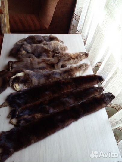 Шкурки норки куницы и соболя