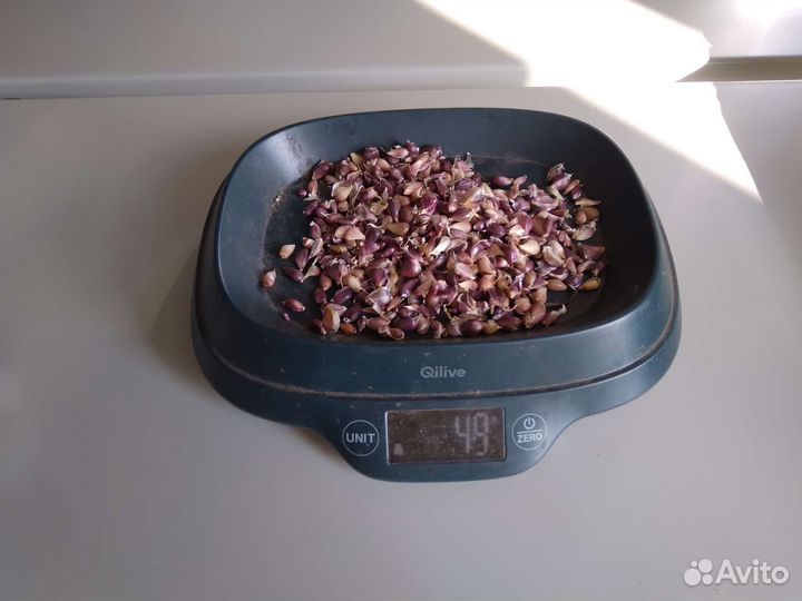 Чеснок бульбочки разных сортов