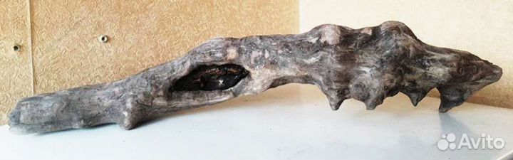 Коряги морские