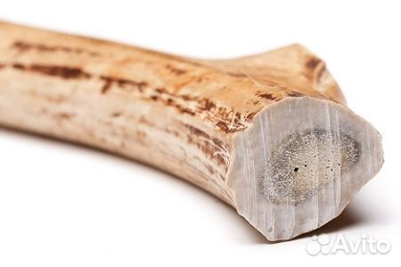 Грызак для собак