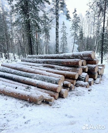 Лес круглый береза