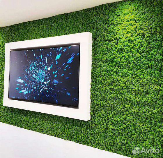 Стабилизированный мох от производителя