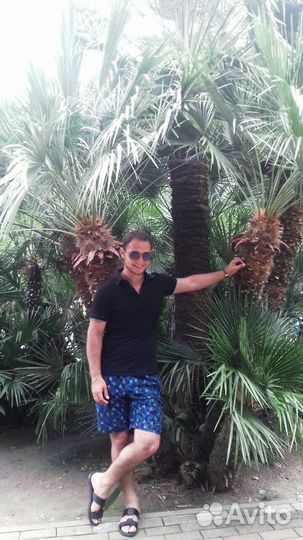 Артист-вокалист, преподаватель, модель, актёр