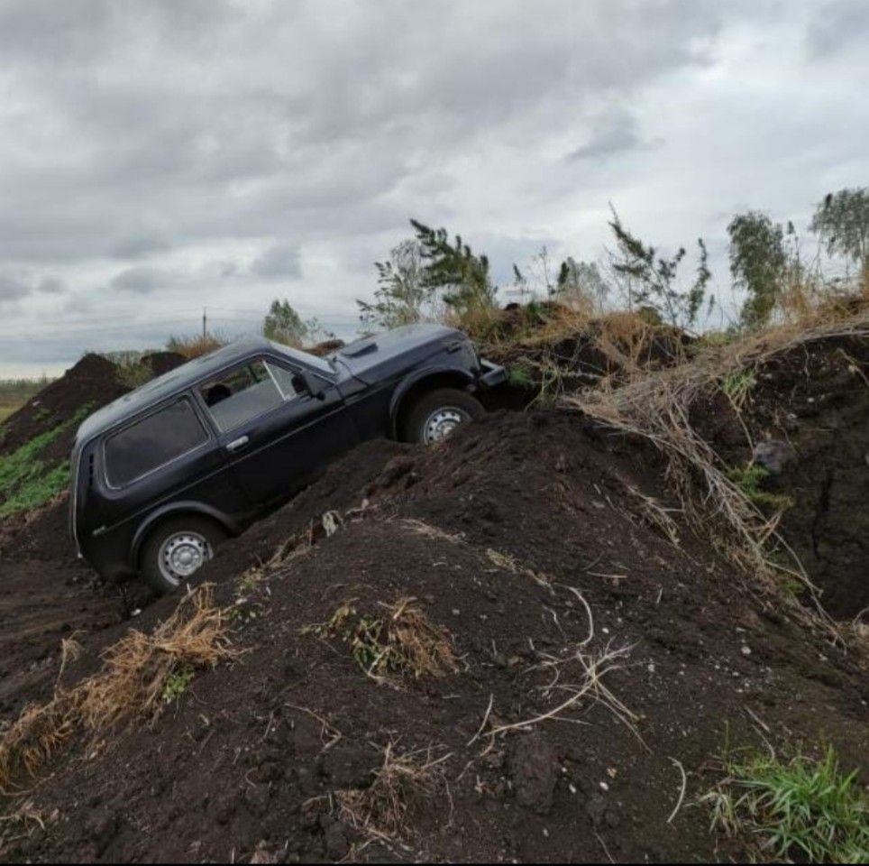 ВАЗ (LADA) 4x4 (Нива): фото владельца