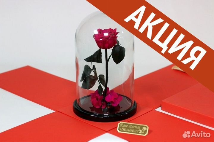 Подарок маме/ Роза в колбе опт