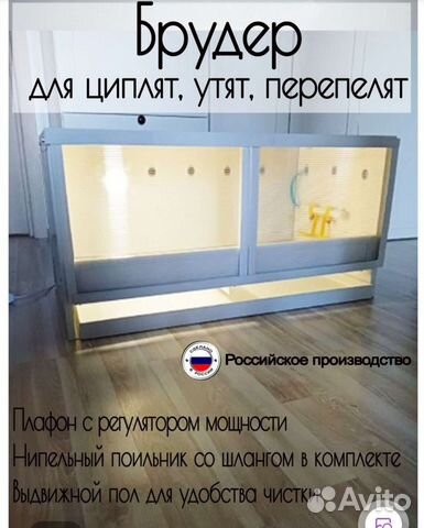 Брудер пластиковый для цыплят, утят, перепелят